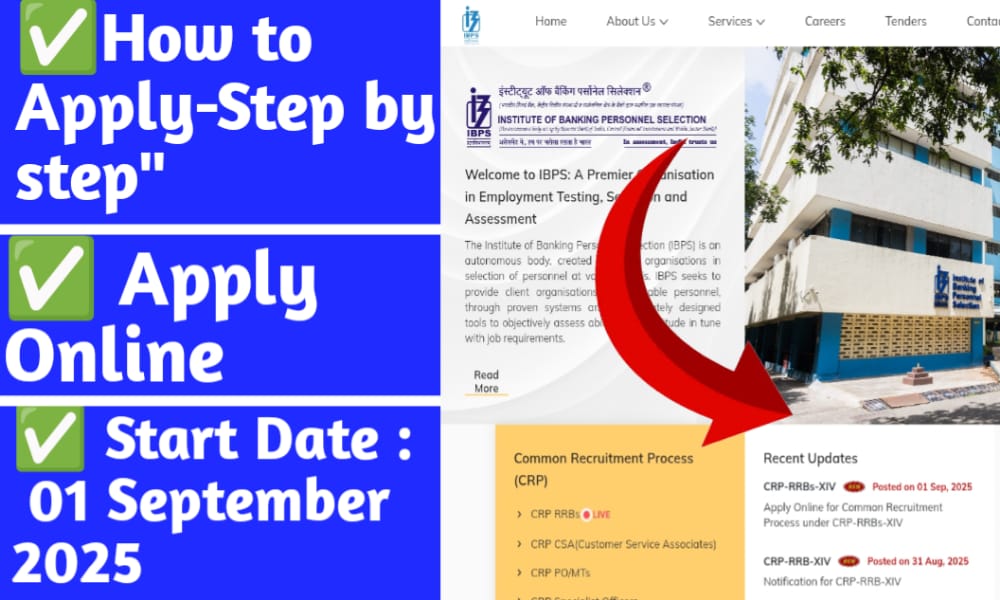IBPS CRP RRBs 14th Recruitment 2025 -Start